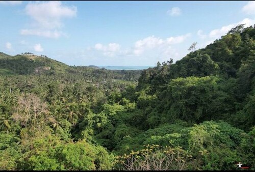 Bild 4 - Grundstück in Taling Ngam Koh Samui zum Kaufen