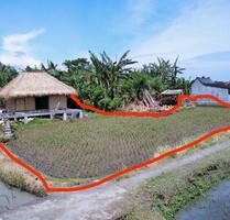 Land für Langzeitpacht auf Bali Tabanan - Banjar Betanyuh