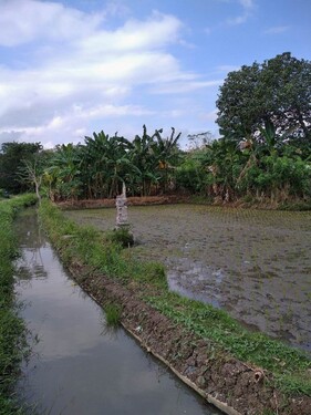 Bild 2 - Grundstück zum Kaufen in Banjar Betanyuh