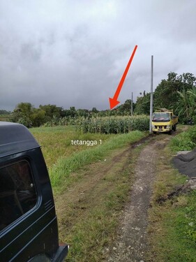 Bild 3 - Grundstück in Banjar Betanyuh