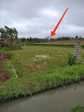 Bild 4 - Grundstück in Banjar Betanyuh zum Kaufen