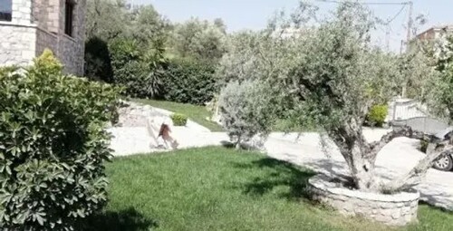 Bild 3 - 3 Zimmer Einfamilienhaus in Foniskaria Aigion