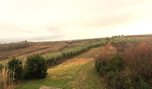 Bild 4 - Einfamilienhaus mit 400,00 m² in Umag zum Kaufen