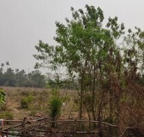 Grundstück in Thailand Living the Dream - Lampang