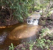 Fazenda mit 1067 ha mit natürlicher Vegetation in Brasilien - Caxias - MA