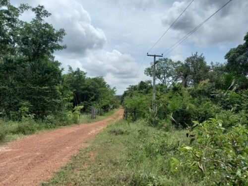 Bild 3 - Grundstück in Caxias - MA