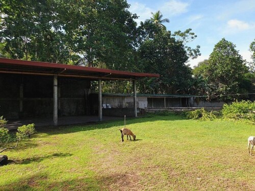 Bild 4 - Grundstück in IGACOS zum Kaufen