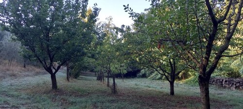 Bild 2 - 4 Zimmer Einfamilienhaus zum Kaufen in SEMPRONIANO PROVINZ GROSSETO
