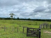 Bild 1 - Brasilien riesengrosse 1000 Ha Rinderfarm mit Privatsee