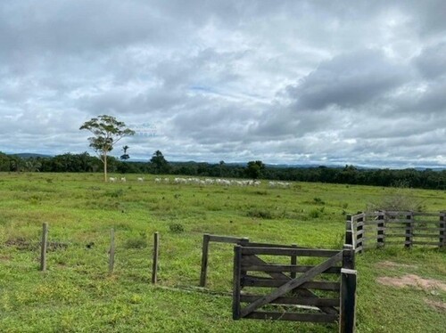 Bild 1 - Brasilien riesengrosse 1000 Ha Rinderfarm mit Privatsee