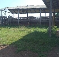 Riesengrosse 1166 Ha Rinderzucht - Fischfarm - Vicinal do Ita