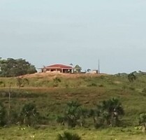 Brasilien riesengrosse 420 Ha Rinderzucht Region - Baruana R