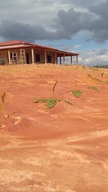 Bild 2 - Grundstück zum Kaufen in Baruana