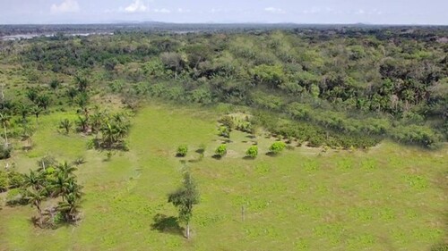 Bild 1 - 100000 Ha grosses Grundstück Goldvorkommen in der Region