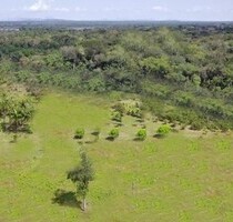 100000 Ha grosses Grundstück Goldvorkommen in der Region - Novo Aripuana