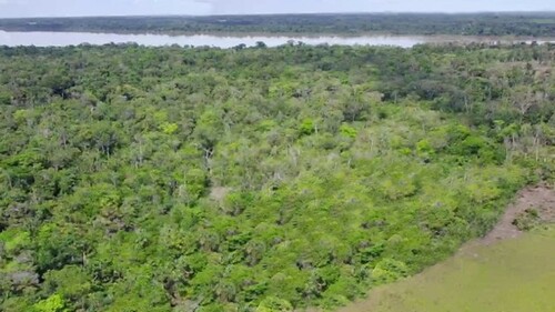 Bild 2 - Grundstück zum Kaufen in Novo Aripuana