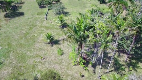 Bild 3 - Grundstück in Novo Aripuana