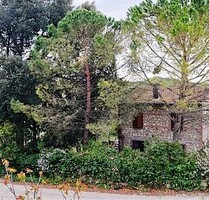 Bauernhaus aus Stein. Ökologisch wertvoll - Rapolano Terme