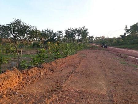 Bild 2 - Grundstück zum Kaufen in Tefe