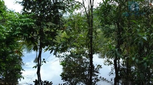 Bild 3 - Grundstück in Tefe