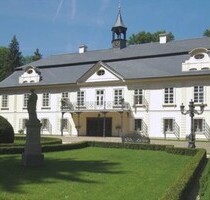 Historisches tschechisches Chateau zu verkaufen - Neveklov