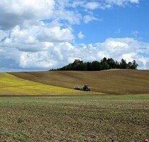 430 ha kompaktes Ackerlandprojekt - Gurahont