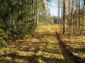 Bild 2 - Grundstück zum Kaufen in Lahti