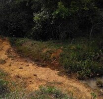 2.693.1931 Ha grosses Grundstück Goldvorkommen in der Region - Novo Aripuana