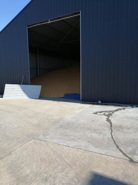 Bild 2 - Grundstück zum Kaufen in Prscari jud