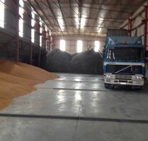 384 ha Ackerbaubetrieb mit weiteren 800 ha Pachtland - Pescari