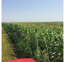 1200 ha Ackerbaubetrieb in Ostrumaenien - Pescari jud