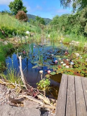 Bild 5 - 