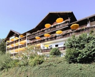 Hotel auch als Reha Klinik Pflegeheim Serviced Appartment - Bad Peterstal-Griesbach