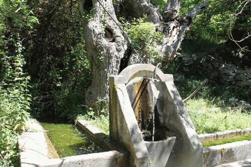 Bild 1 - Baugrundstück 300m2 Brunnen Sandstrand 5km