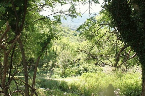 Bild 2 - Grundstück zum Kaufen in Kreis Ulcinj