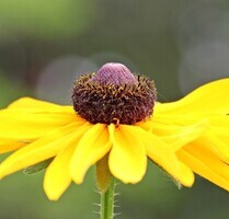 Wunderschönes Zweifamilienhaus mit Bergblick - Konitsa