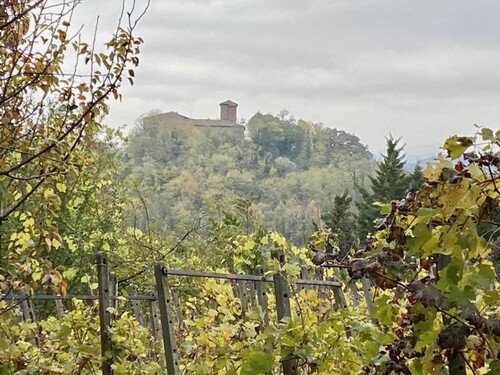 Bild 3 - 4 Zimmer Einfamilienhaus in Bargone di Montauro