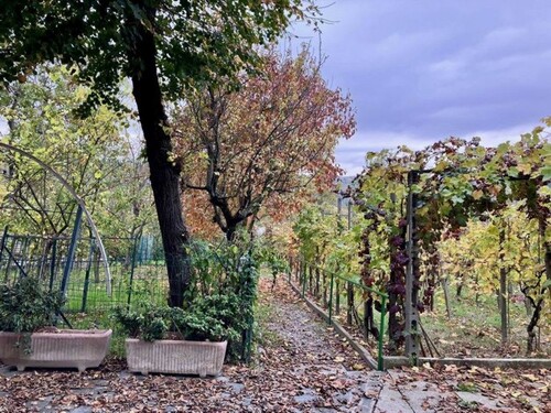 Bild 4 - Einfamilienhaus mit 225,00 m² in Bargone di Montauro zum Kaufen