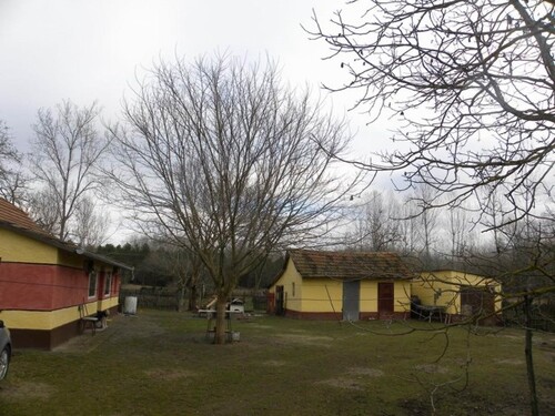 Bild 2 - 2 Zimmer Bauernhaus, Landhaus zum Kaufen in Kiskunmajsa