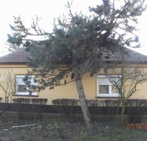 In Ungarn 120 m2 Bauernhaus - 38.500,00 EUR Kaufpreis, ca.  120,00 m² Wohnfläche in Kelebia (PLZ: 6423)