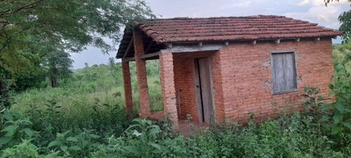 Bild 4 - Grundstück in Caaguazu zum Kaufen