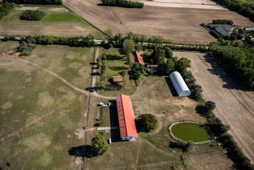 Bild 1 - Gepflegte Pferdefarm in Ungarn - 750.000,00 EUR Kaufpreis, ca.  200,00 m² Wohnfläche