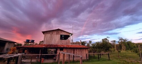 Bild 1 - Grosse Früchtefarm in Brasilien