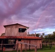 Grosse Früchtefarm in Brasilien - Rio Preto da Eva