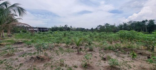 Bild 2 - Grundstück zum Kaufen in Rio Preto da Eva