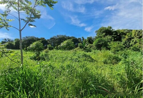 Bild 1 - Brasilien 961.5998 Ha grosses Grundstück mit See