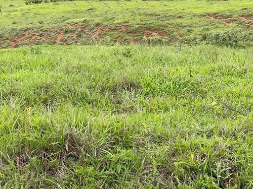 Bild 2 - 1 Zimmer Einfamilienhaus zum Kaufen in Novo Aripuana