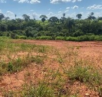 3000 Ha Tiefpreis-Grundstück Erdoel Erdgas Gold - Silves