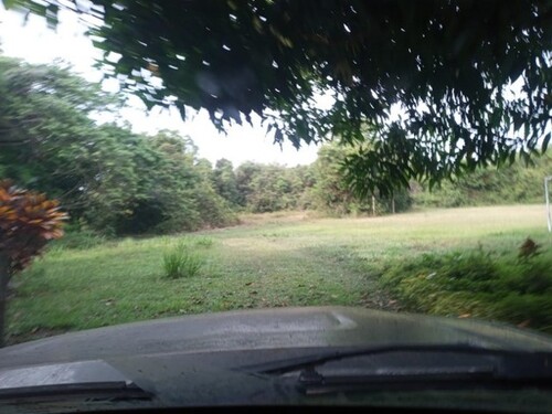 Bild 3 - 1 Zimmer Einfamilienhaus in Silves