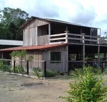 479 Ha grosse Früchtefarm mit Eierfabik in Brasilien - Manaus